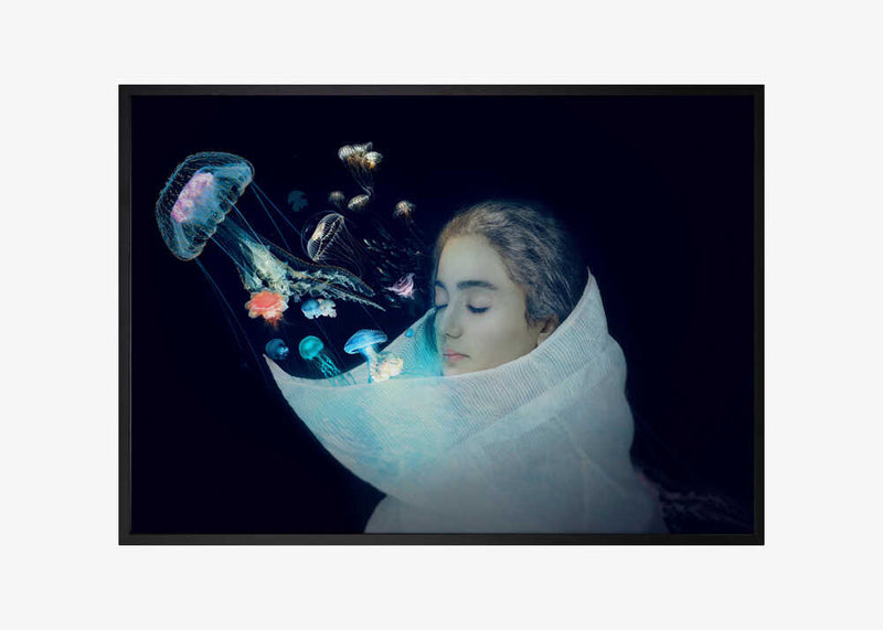 Jellyfish - The Queen of the sea