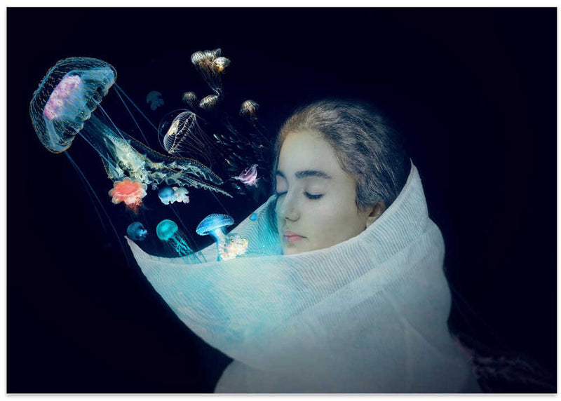 Jellyfish - The Queen of the sea