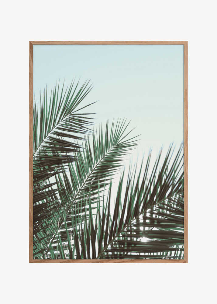 Palm leaves, sky_1