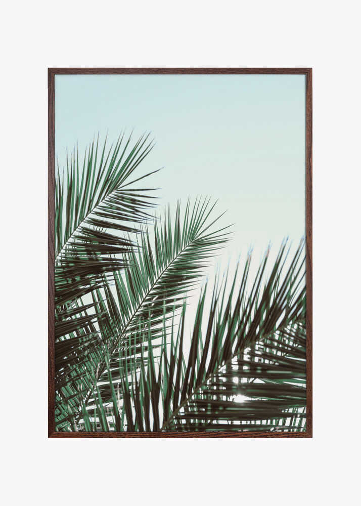 Palm leaves, sky_1