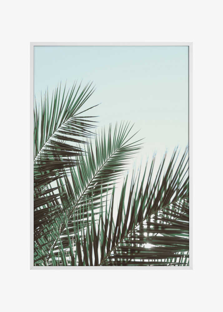 Palm leaves, sky_1