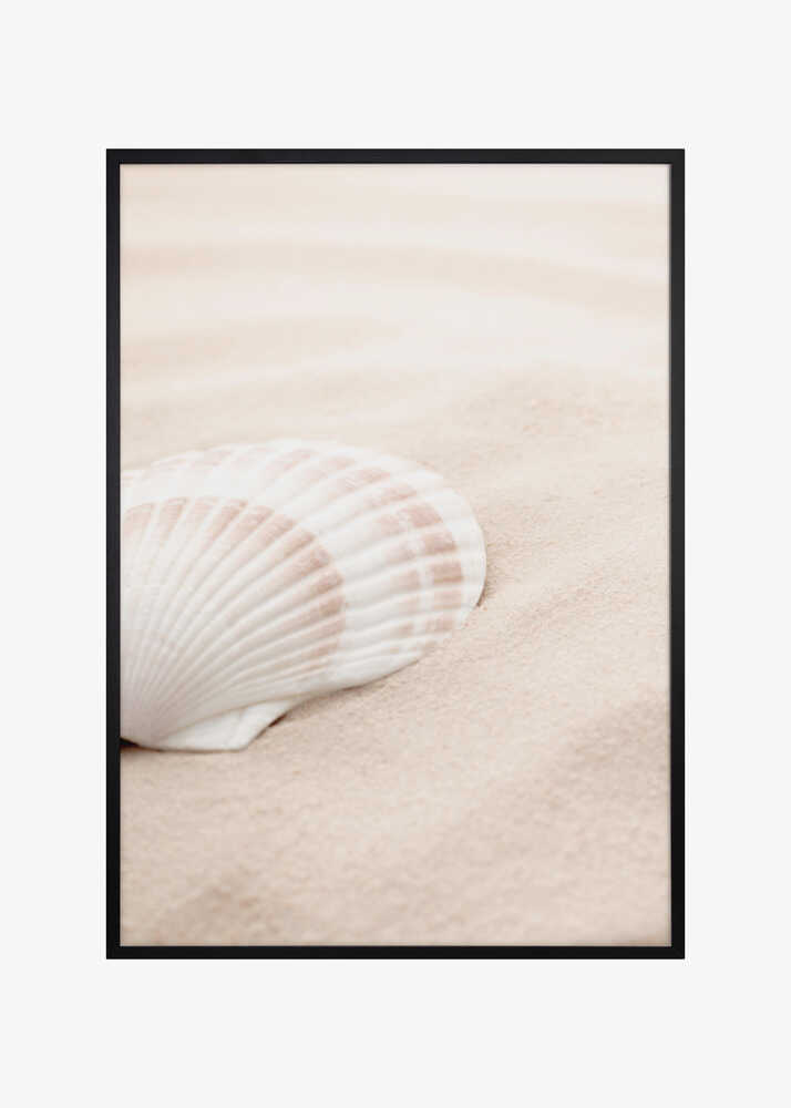 Shell_3