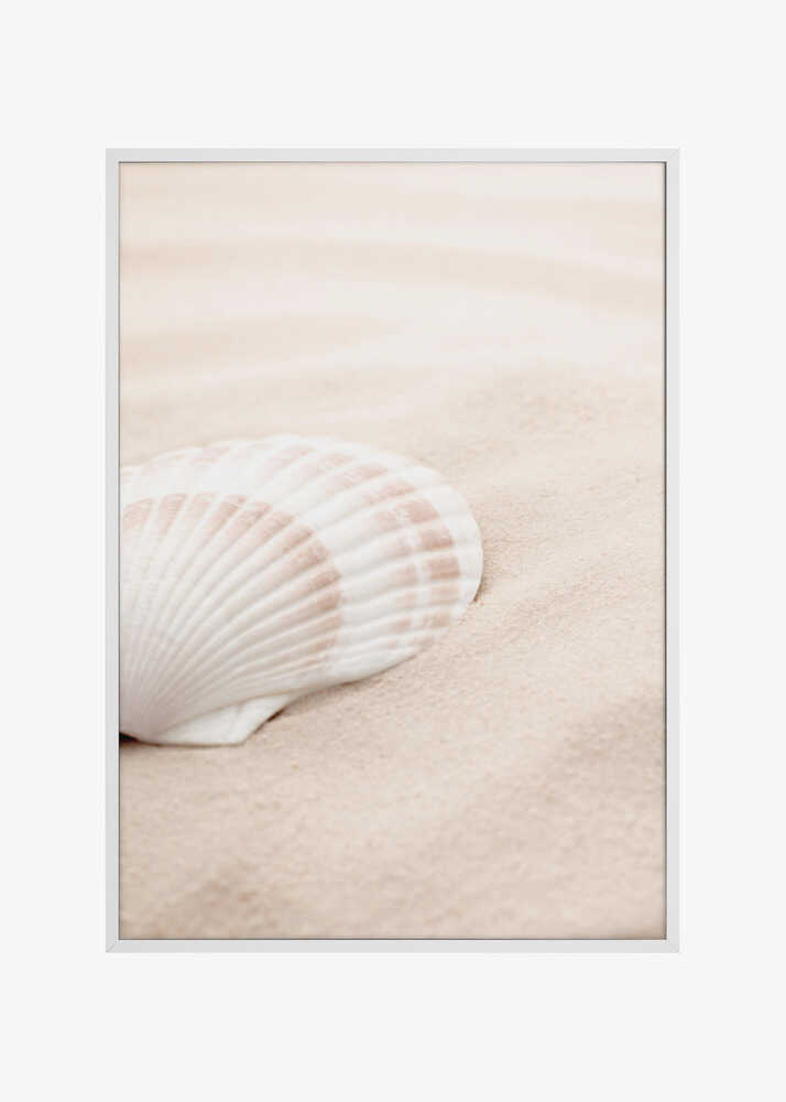 Shell_3