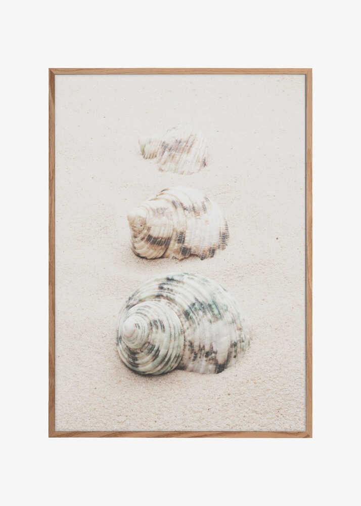 Shells