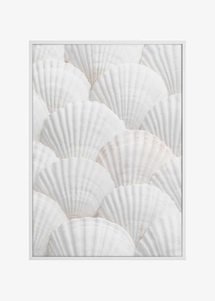 Shells_3