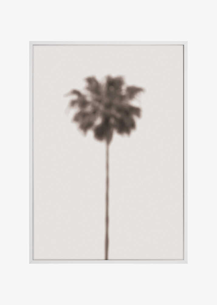 Palm Blury