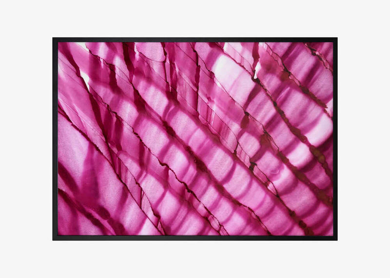 Raspberry Ripple horizontal