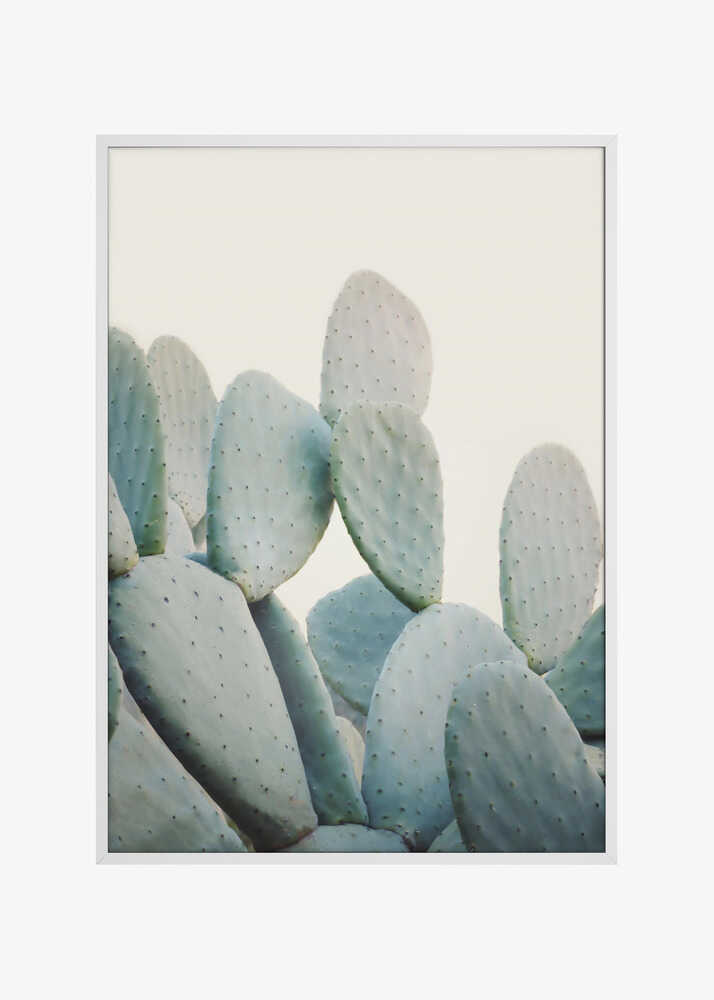 Pastel Cacti