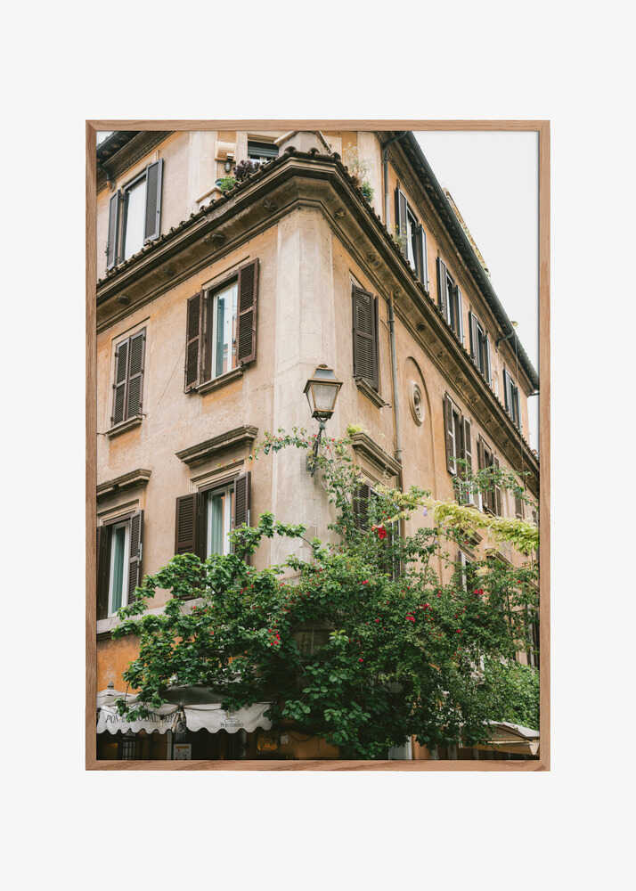 Botanical Trastevere Rome ||