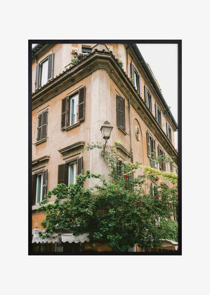 Botanical Trastevere Rome ||