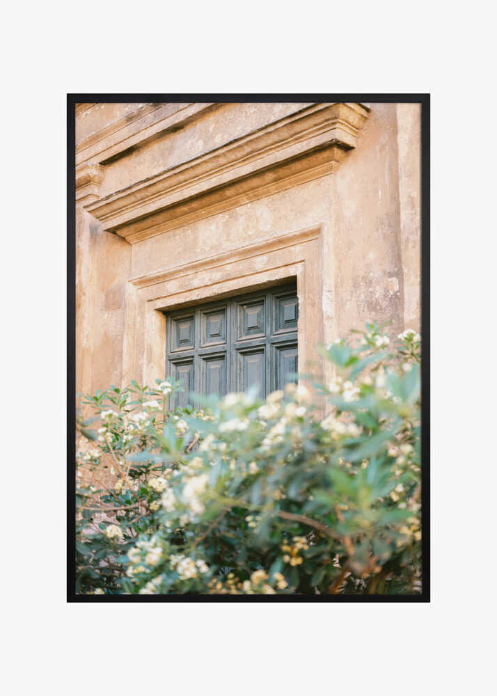 Botanical Trastevere Rome