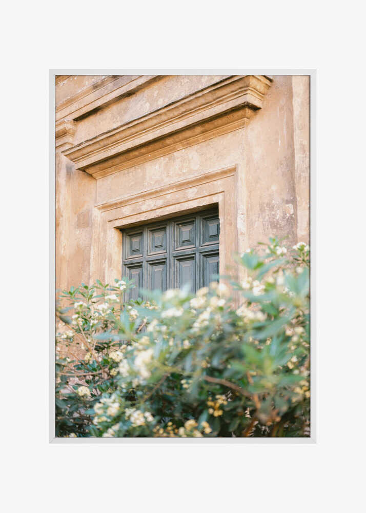 Botanical Trastevere Rome