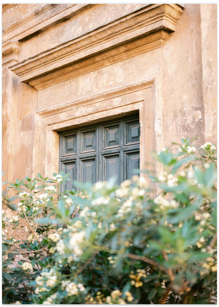 Botanical Trastevere Rome