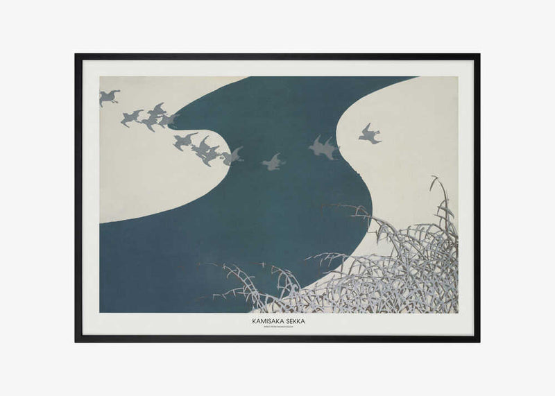 Birds From Momoyogusa