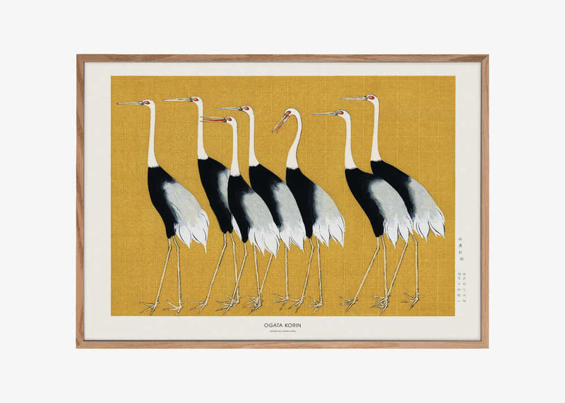 Japanese Red Crown Crane