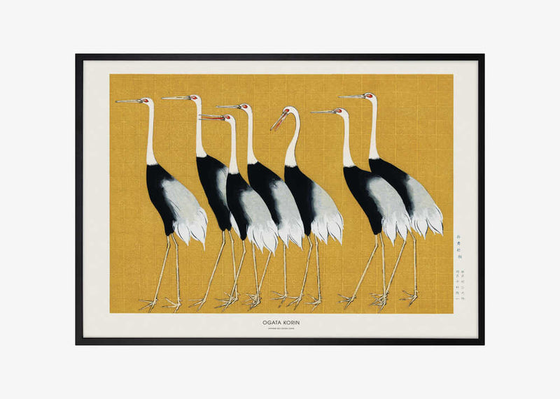 Japanese Red Crown Crane