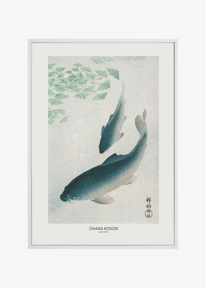 Carp Or Koi