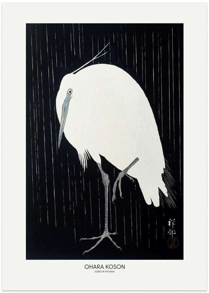Egret In The Rain