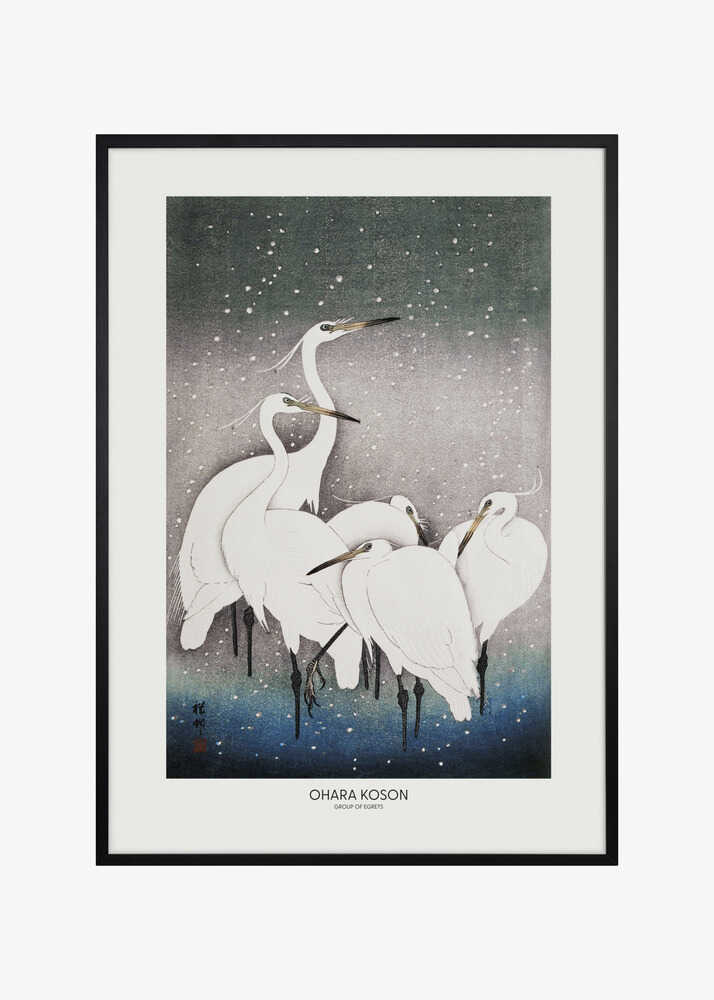 Group Of Egrets