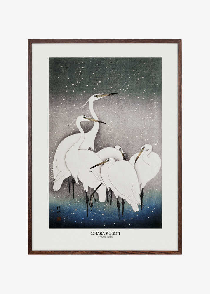 Group Of Egrets