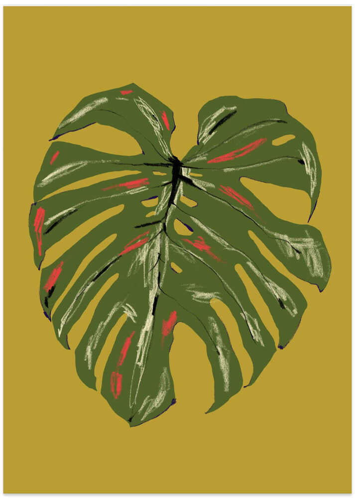 Monstera Leaf Green