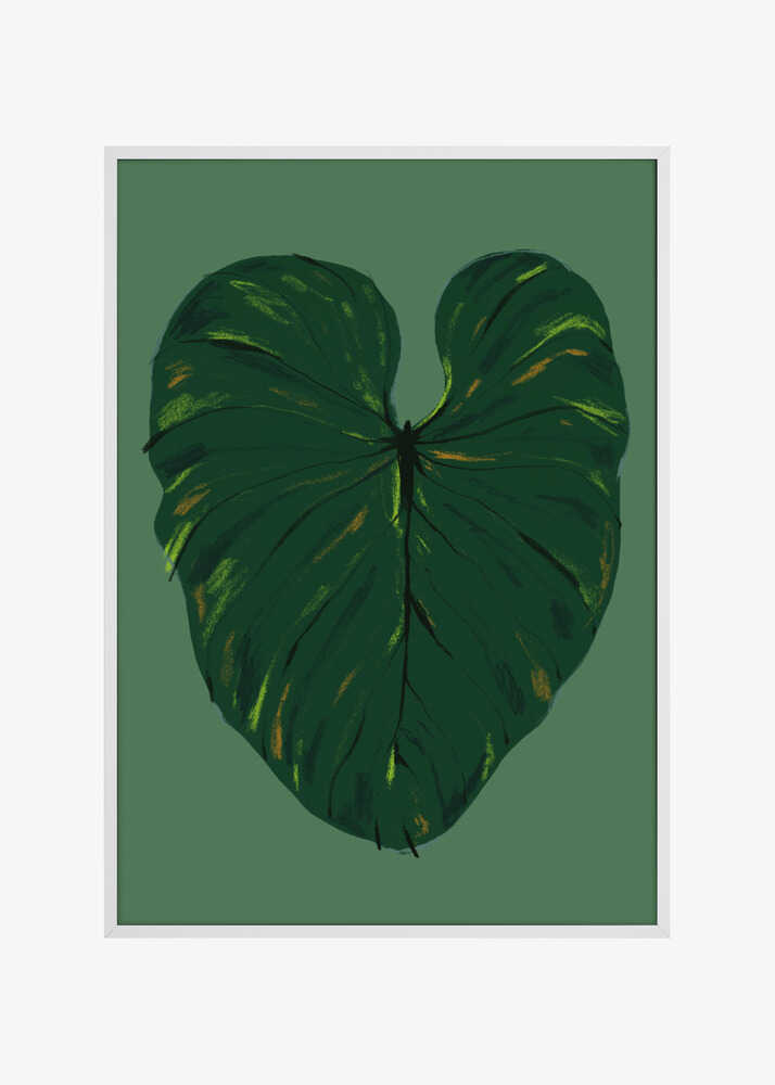 Philodendron Gloriosum Green