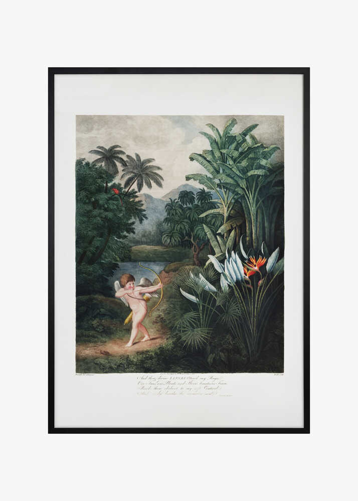 Cupid Inspiring Plants with Love from The Temple of Flora (1807)