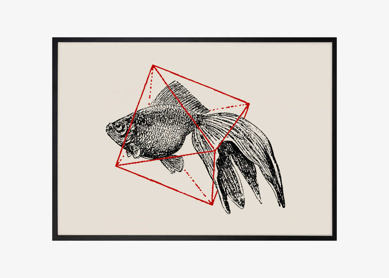 Fish In Geometrics Nº3