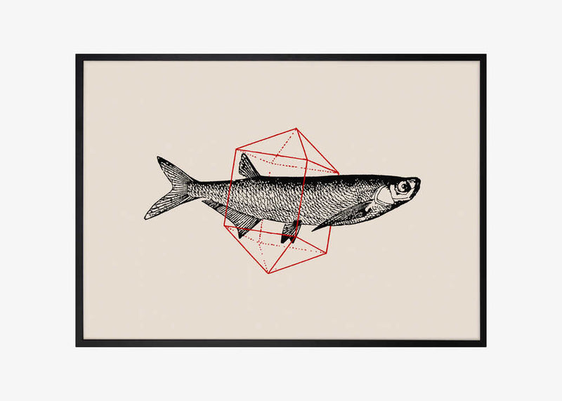 Fish In Geometrics Nº2