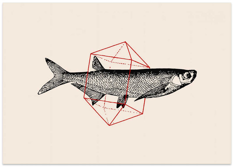 Fish In Geometrics Nº2