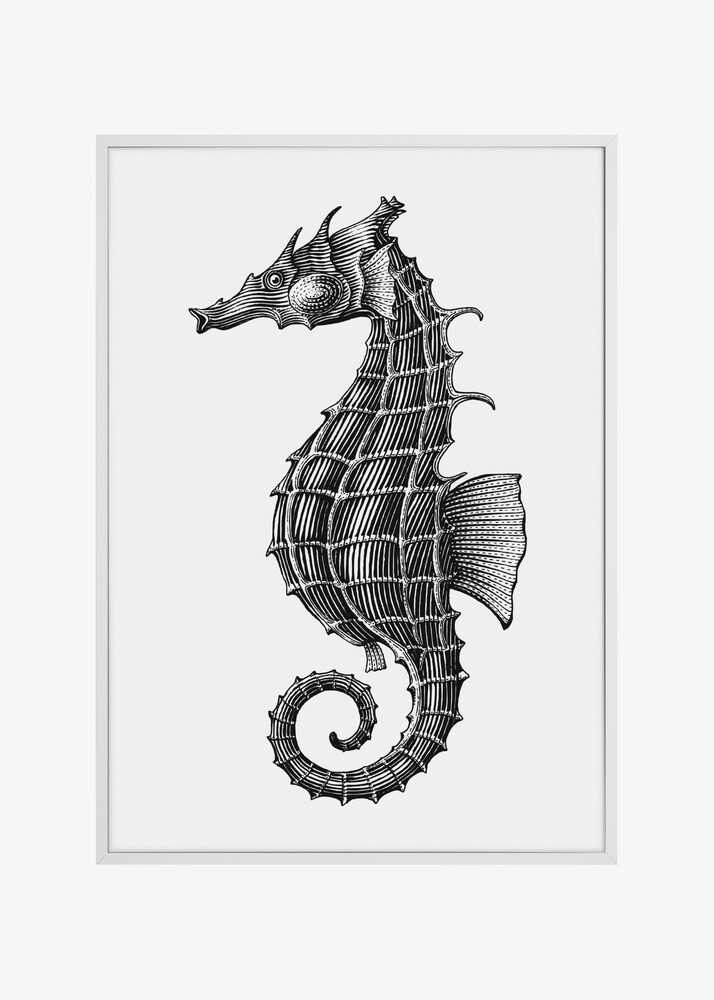 Seahorse