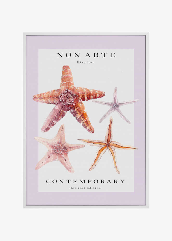 Non Arte Starfish