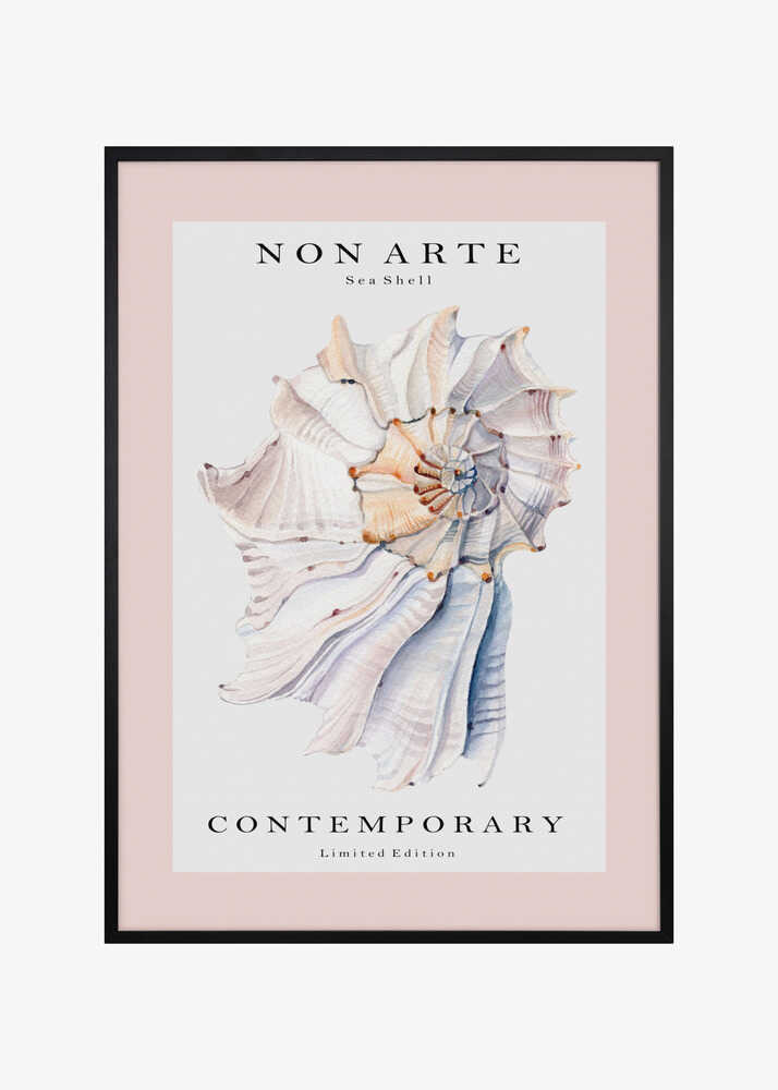 Non Arte Sea Shell no.1