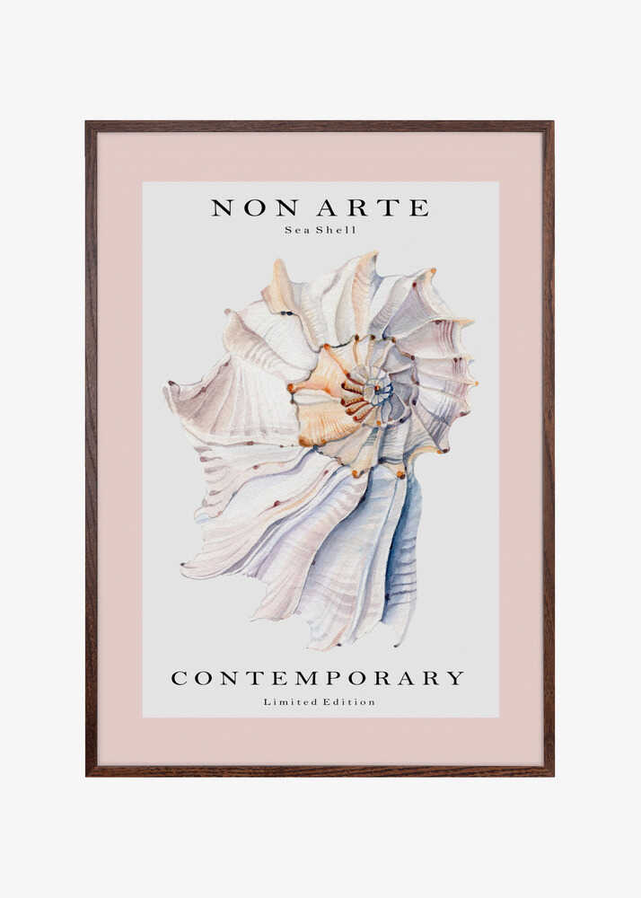 Non Arte Sea Shell no.1