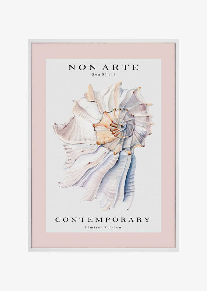 Non Arte Sea Shell no.1