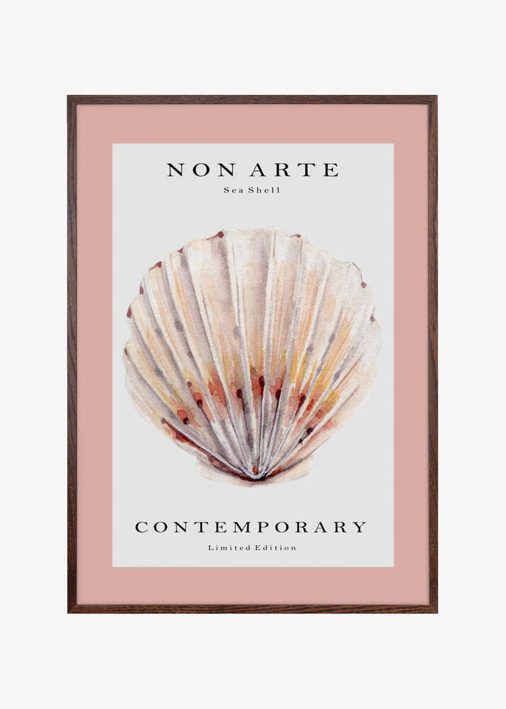 Non Arte Sea Shell no.2