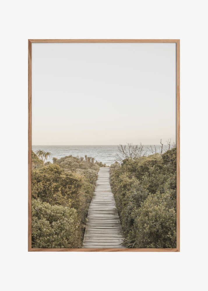 Pathway to Tranquility