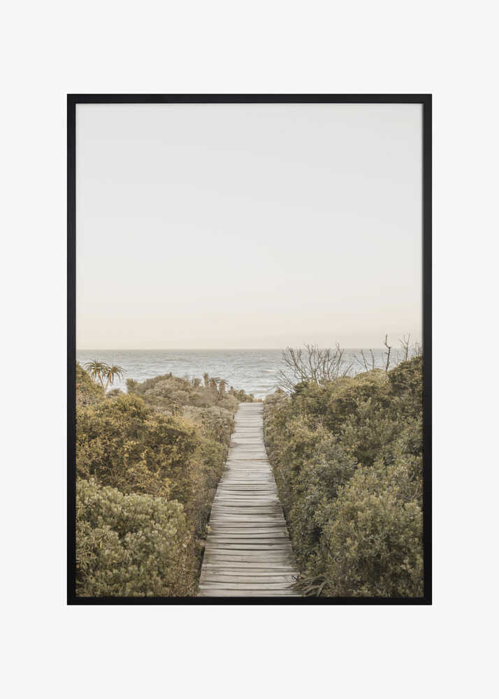 Pathway to Tranquility