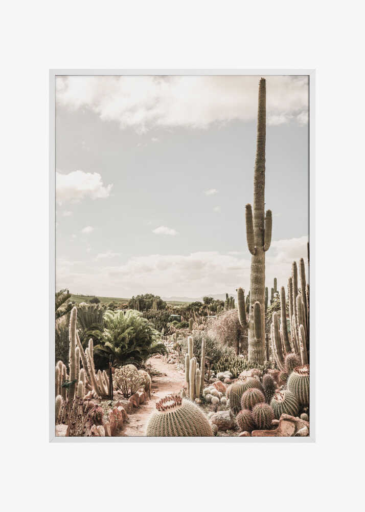 Cactus Farm