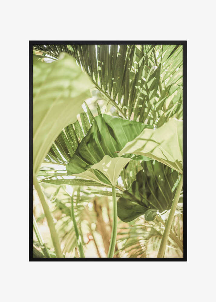 Sunlit Jungle Greens