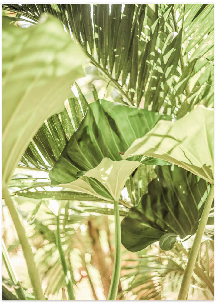 Sunlit Jungle Greens