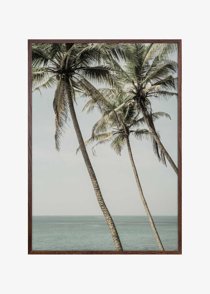 Ocean Breeze Palms