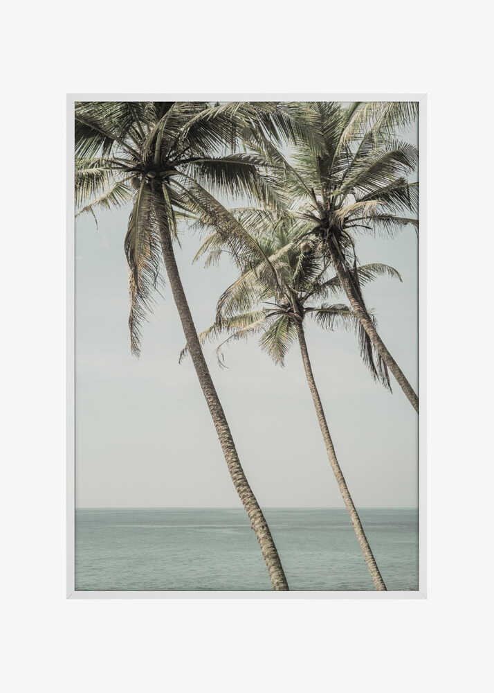 Ocean Breeze Palms