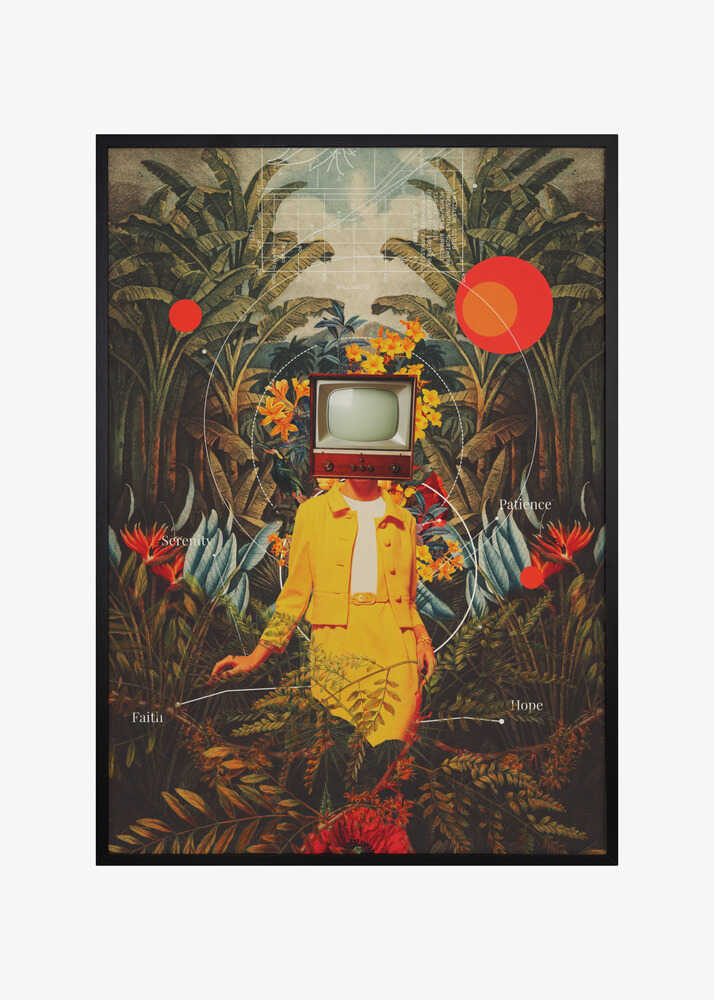 She Came From the Wilderness