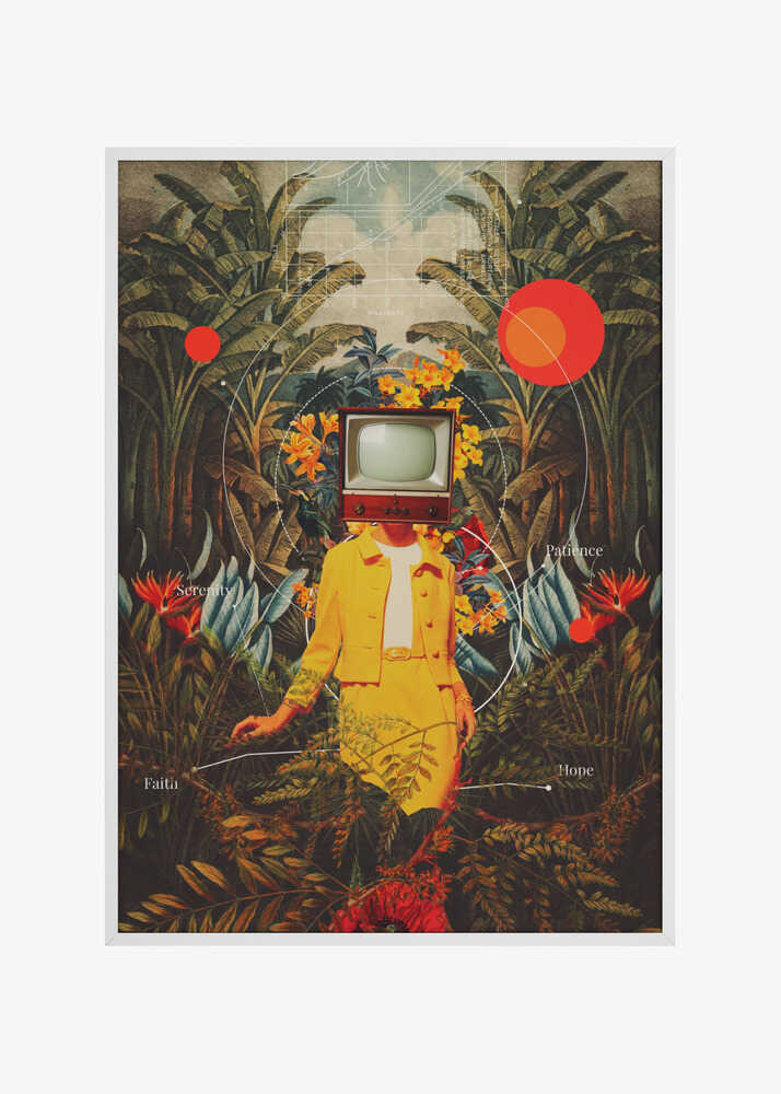 She Came From the Wilderness