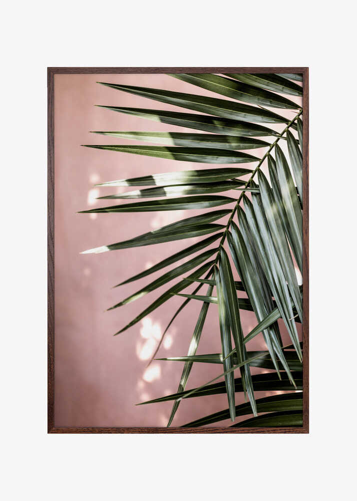 Palm Leaves 23