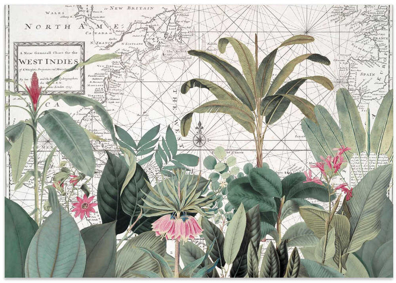 Exotic Wildlife 005 1