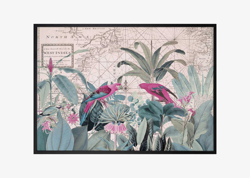 Exotic Wildlife 006 1