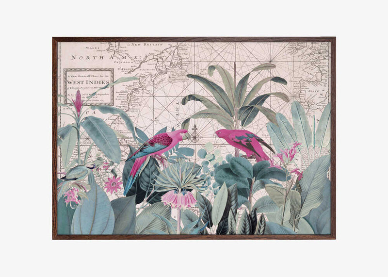 Exotic Wildlife 006 1