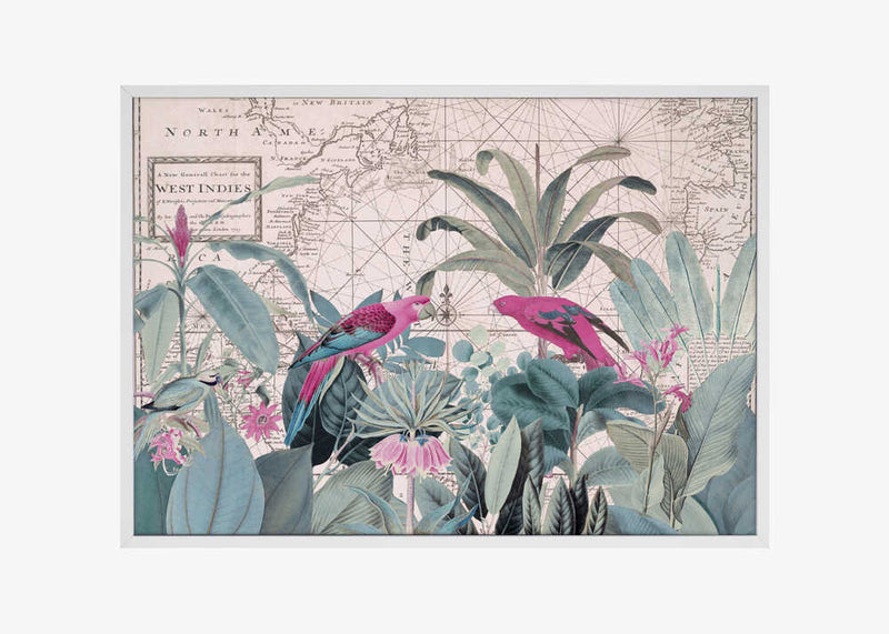 Exotic Wildlife 006 1